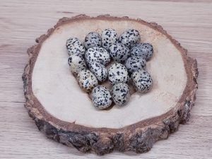 Jaspe dalmatien