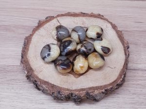 Septaria