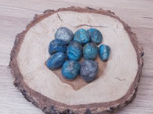 Chrysocolle