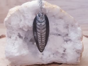 Pendentif pierre percée Orthocéras fossile