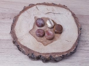 Bois fossile